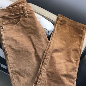 Patagonia corduroy Jeans. Never worn.